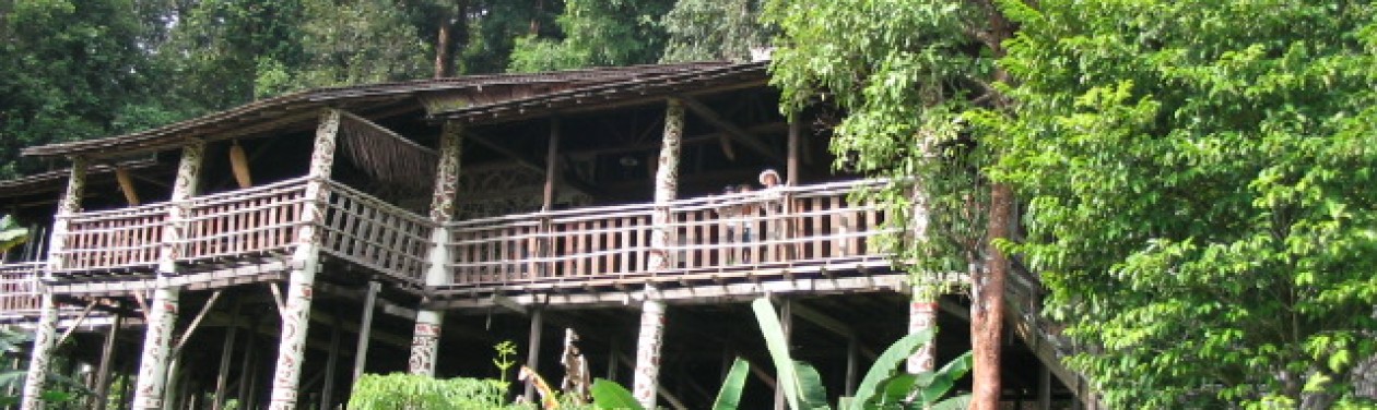 Teaching Languages with Comprehensible Input (Primary)