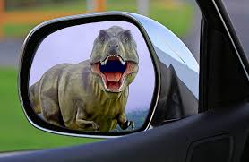 dinosaur in mirror